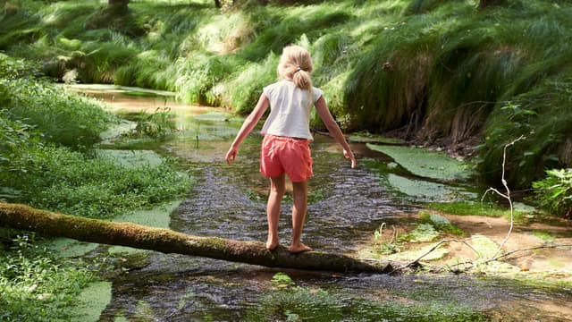 A Creeking Good Time