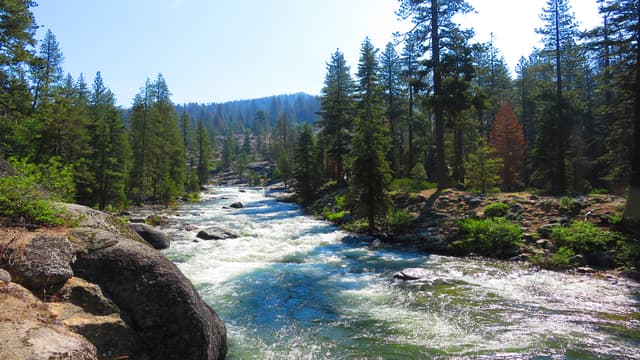 Unprecedented Flooding Sweeps Yellowstone