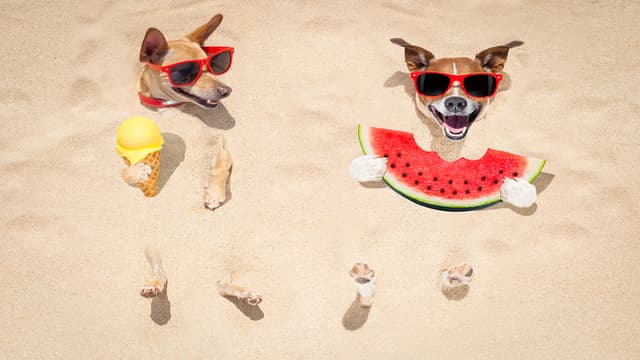 Your Next Getaway Plan: Summer 2022
