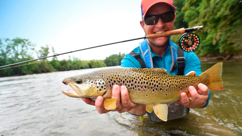 Fishing for the Right Spot