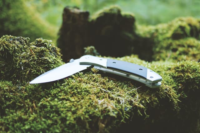 Cutting Edge: A Guide to the Best Pocket Knives on the Market