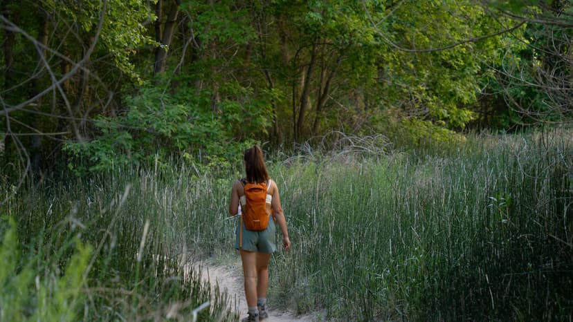 Adventure Awaits: The Best Hiking Shorts for Women Who Love to Roam