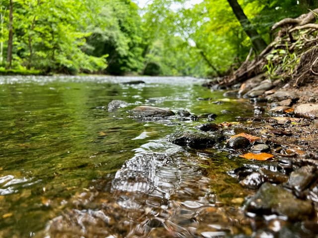 Who’s Got the Best State Park System? Here’s Why Ohio State Parks Won the Top Honor