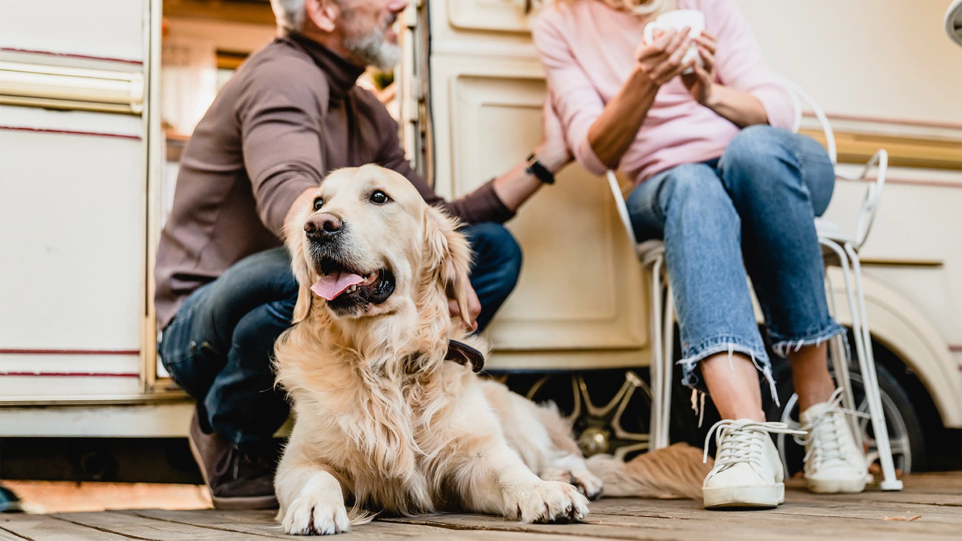 How to Travel With Pets: Tips from Experienced RVers