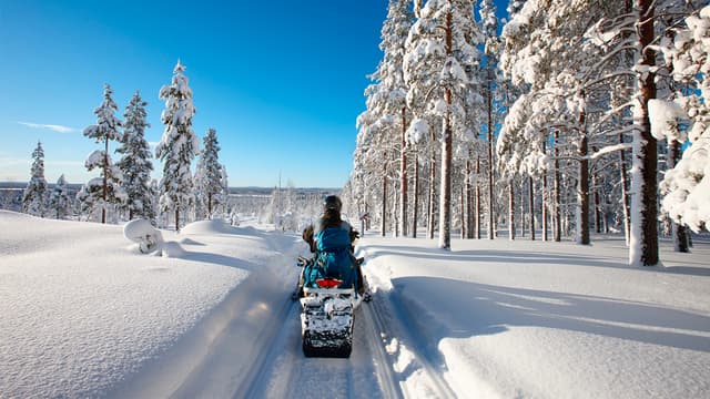 Your Next Snowy Adventure