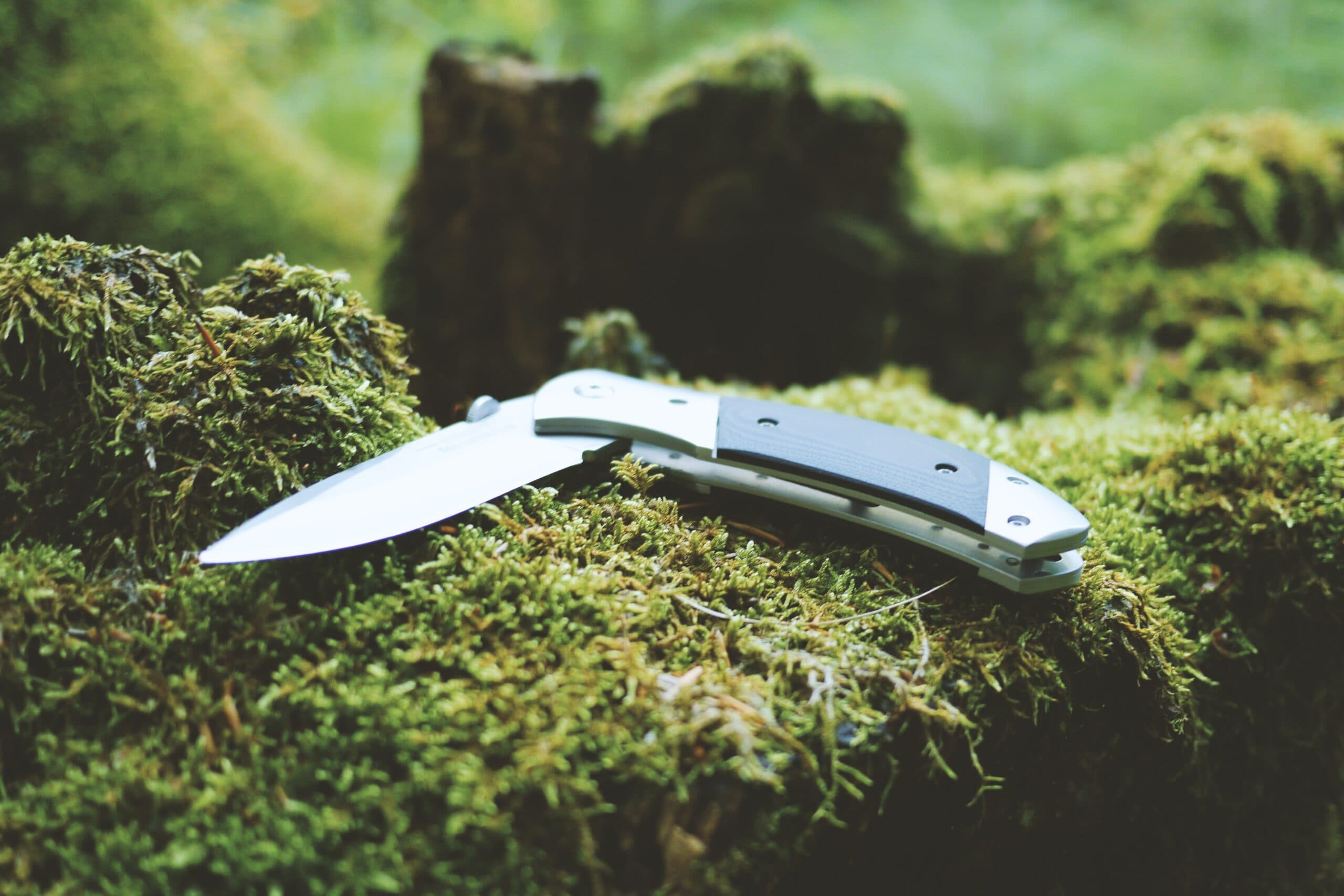 Cutting Edge: A Guide to the Best Pocket Knives on the Market