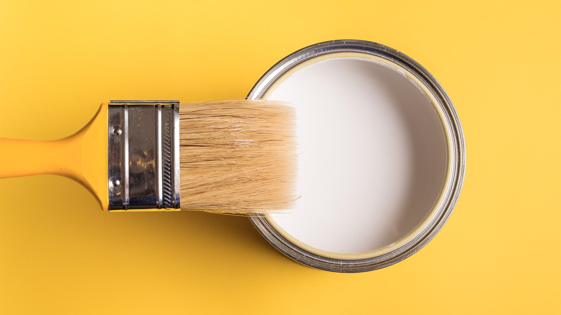 Beyond Paint: A True DIYer Paint Product that Far Exceeded My Expectations