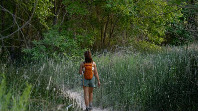 Adventure Awaits: The Best Hiking Shorts for Women Who Love to Roam