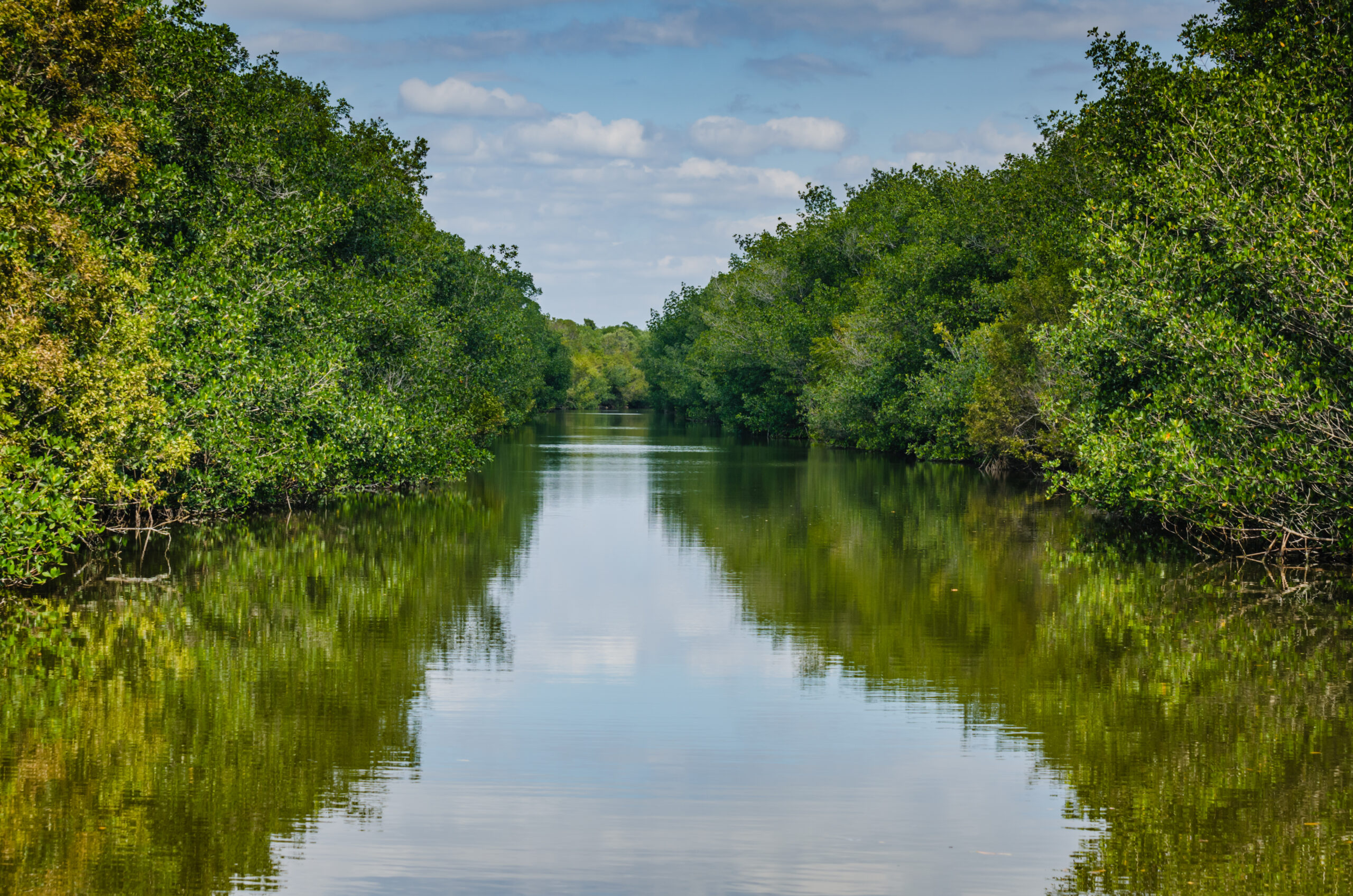 SkyAndTreesReflectedOnTheLagoonAtBiscayneNational | I Heart RVing