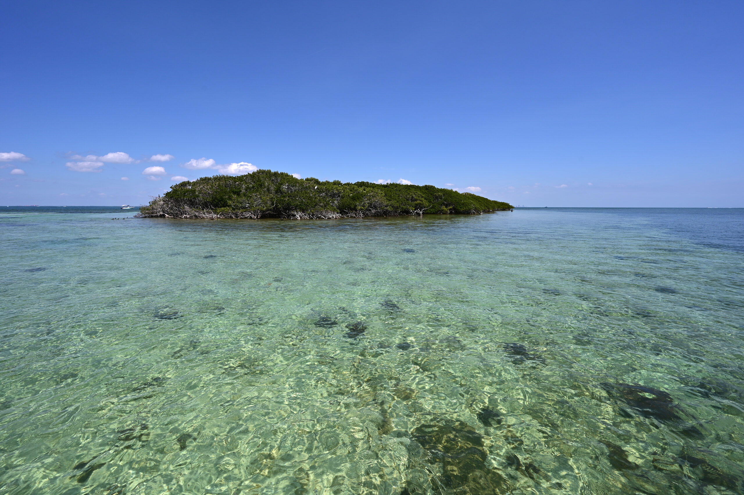 SoldierKeyAndSurroundingGrassFlatsInBiscayneNationalPark | I Heart RVing