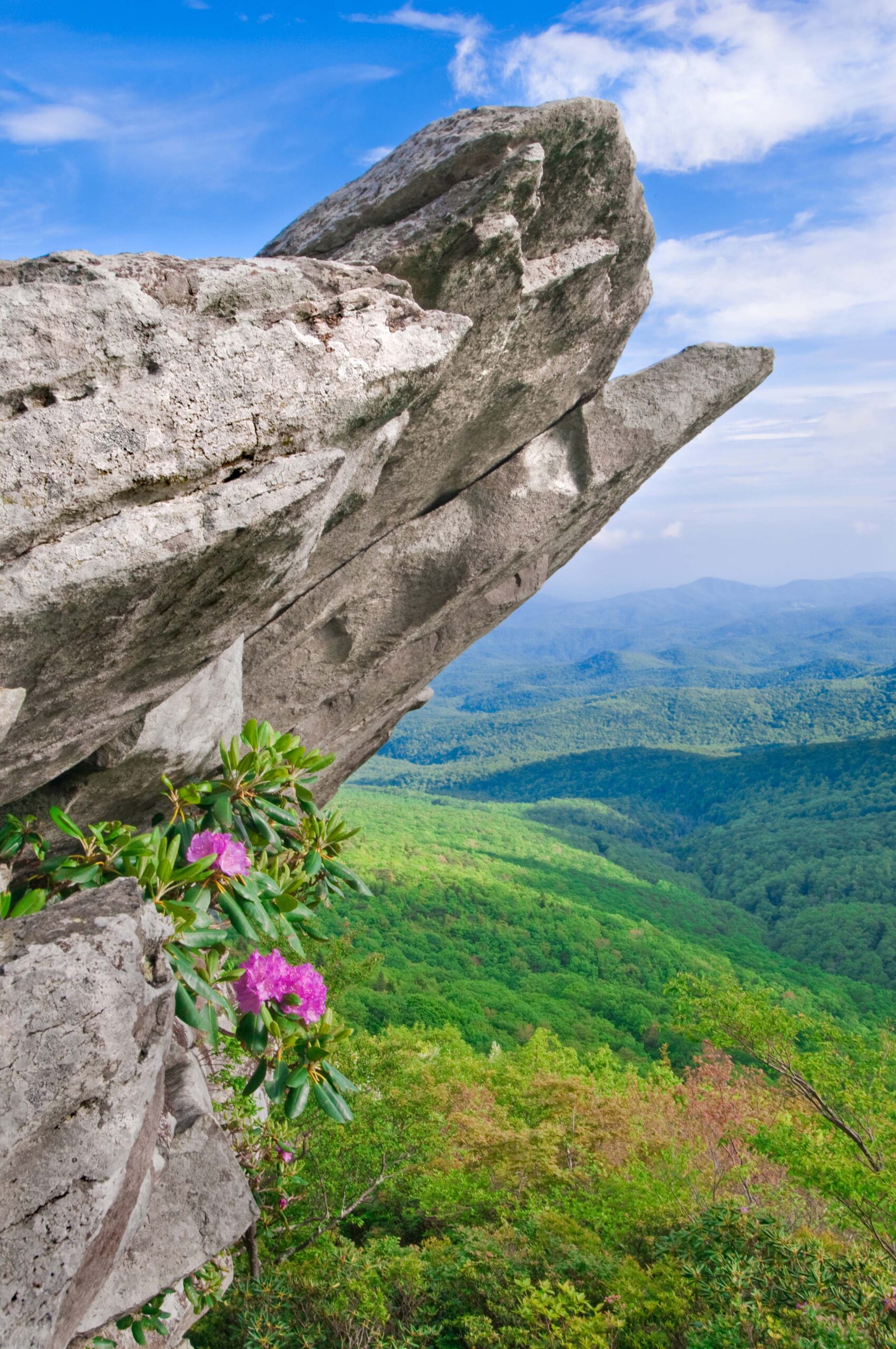 BeautifulViewFromTheBlueRidgeParkwayShowingTheNative | I Heart RVing