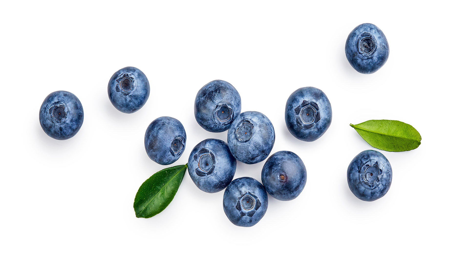 FreshBlueberriesWithBluberryLeavesIsolatedOnWhiteBackgroundTop | I Heart RVing