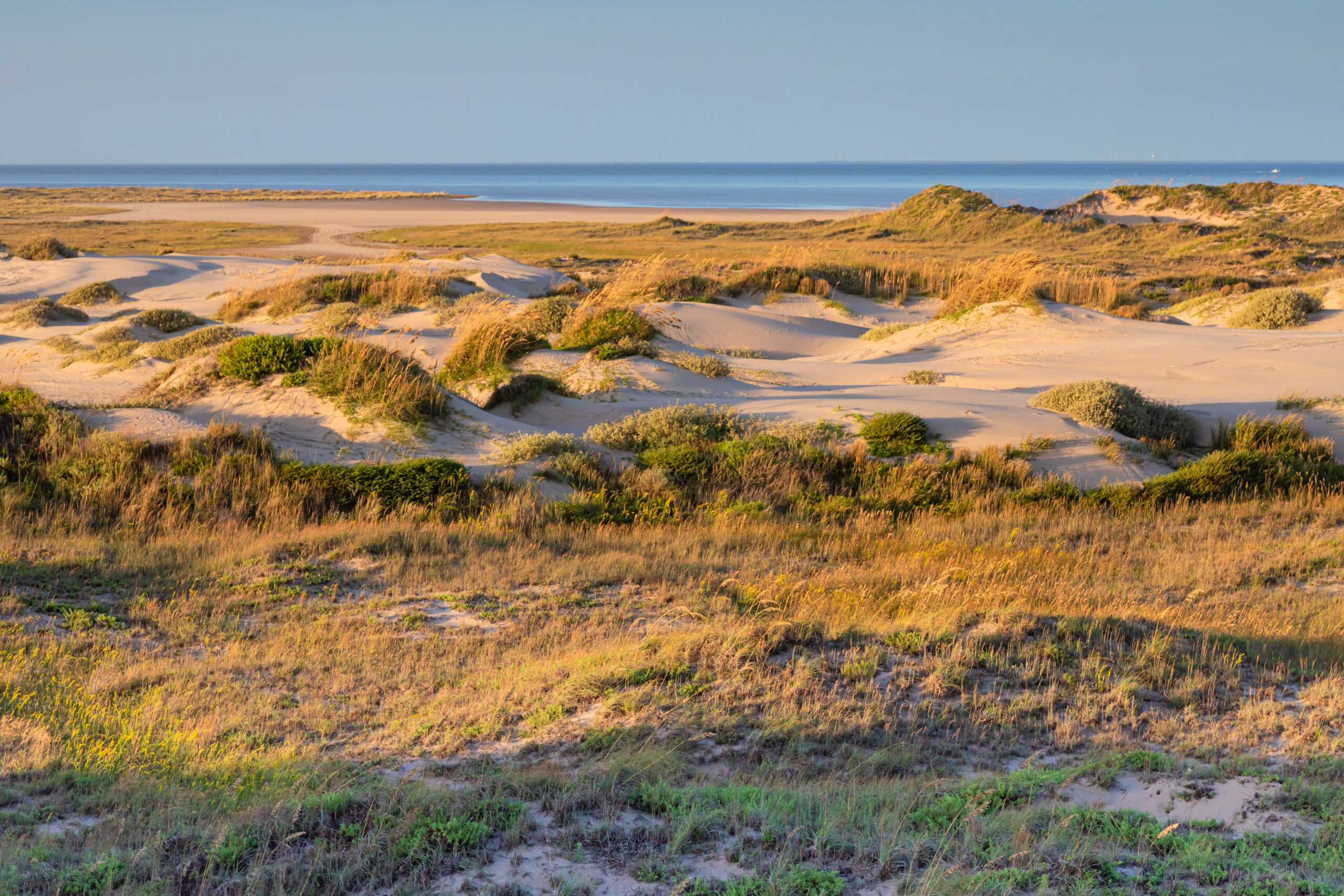 SouthPadreIslandBarrierDunesAndLagunaMadre | I Heart RVing
