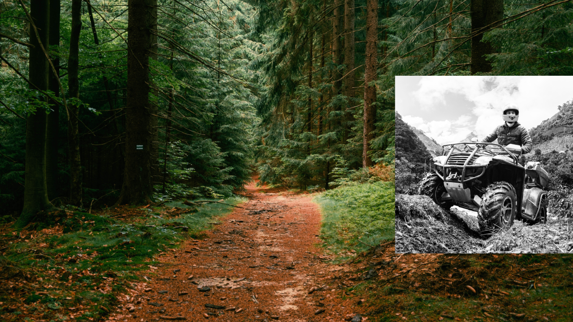 Background 8 | I Heart RVing