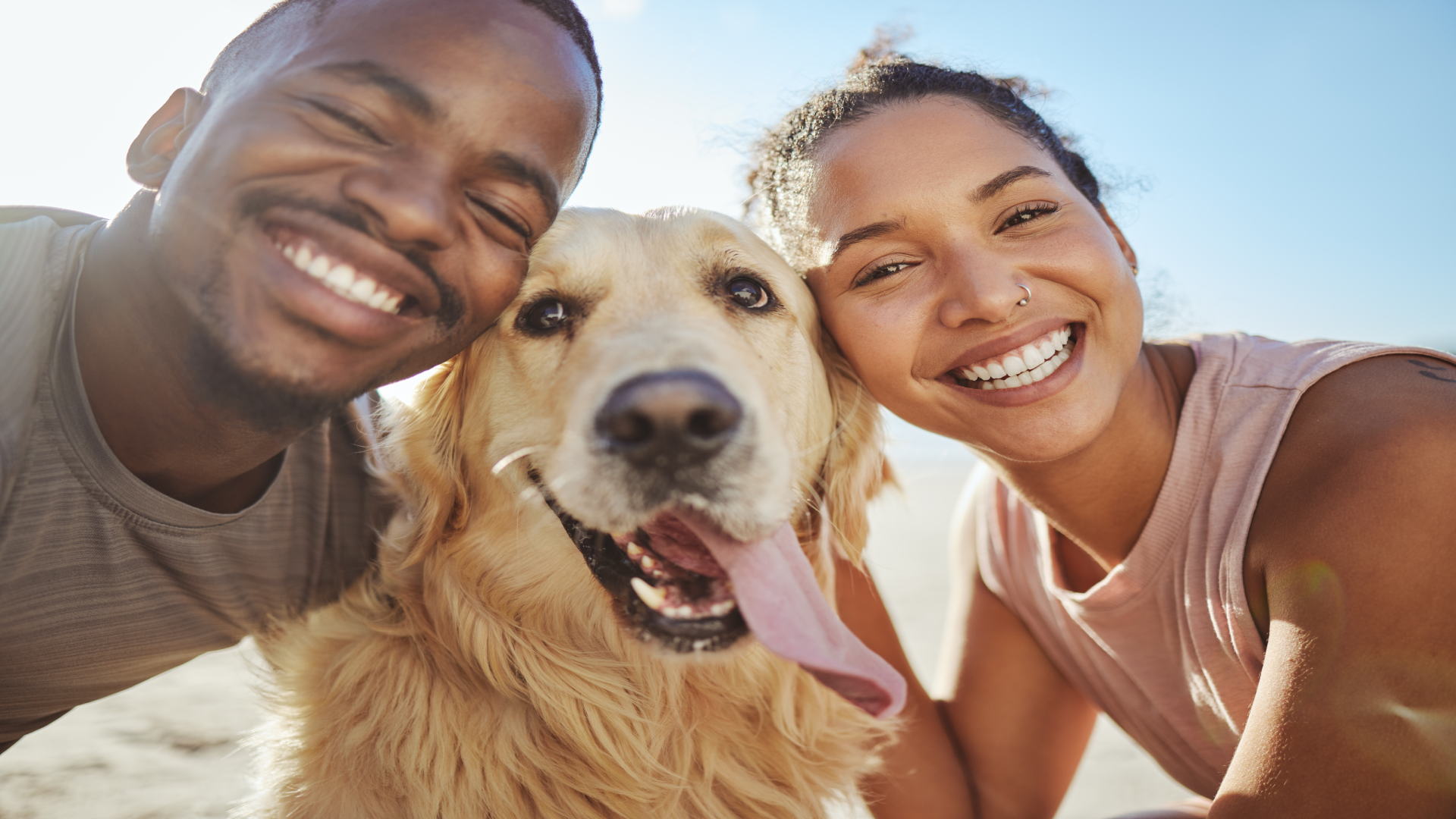 Power Up for Pets: Tips and Tricks to Keep Your Best Buddy Safe and Comfy on the Road