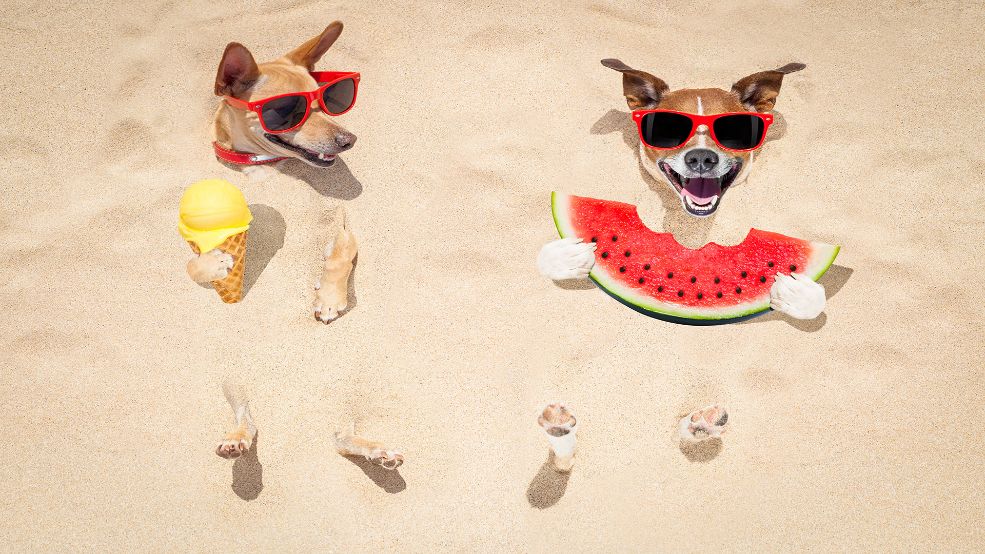 Your Next Getaway Plan: Summer 2022