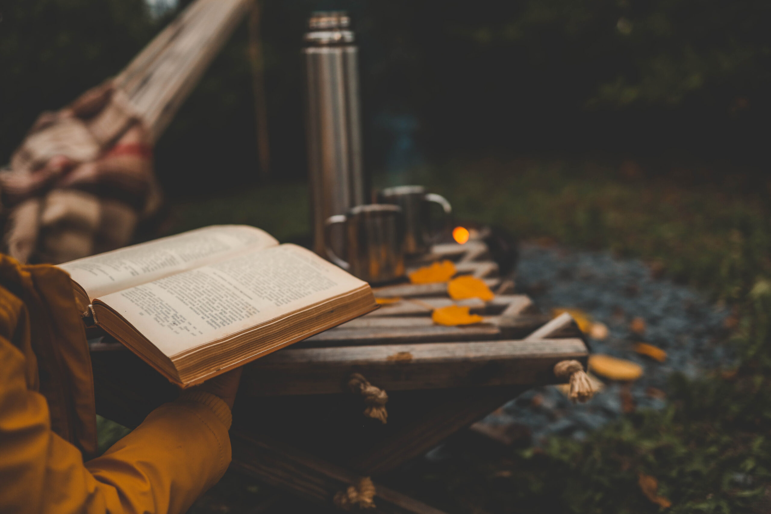 Order – September 2, 2025 @ 01:24 AM | I Heart RVing Reading outside by the campfire