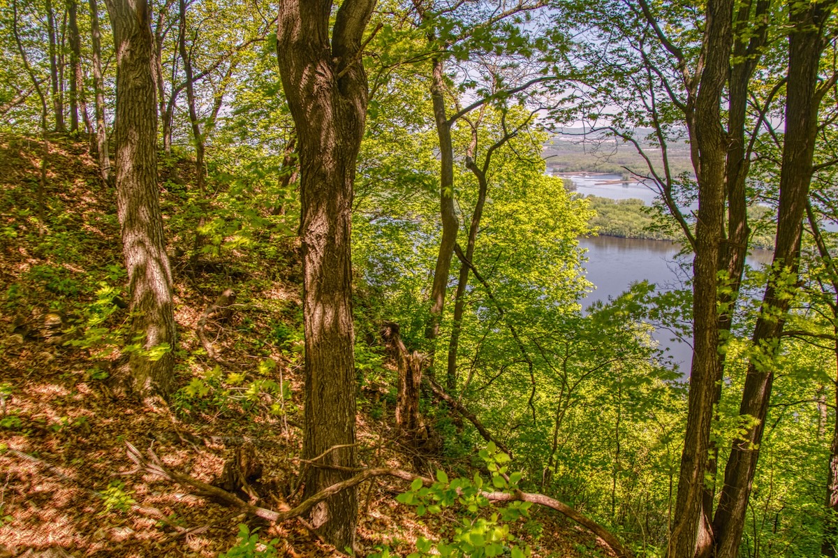 Hidden Bluffs Resort: Minnesota’s Best-Kept Camping Secret?