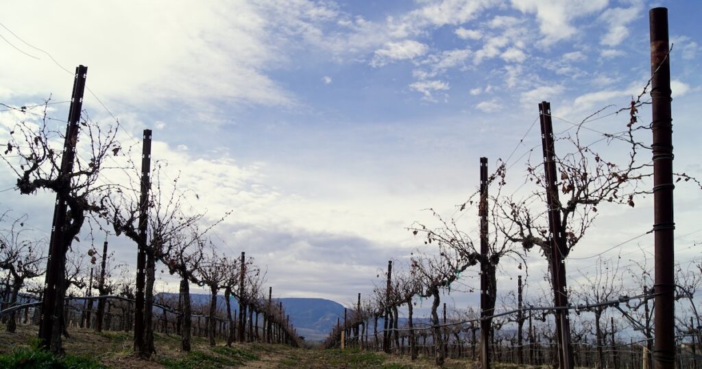 Order – October 9, 2025 @ 02:00 PM | I Heart RVing Arizona wine country