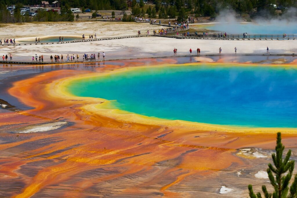 Take some time to experience Yellowstone on your Pacific northwest to Mount Rushmore roadtrip