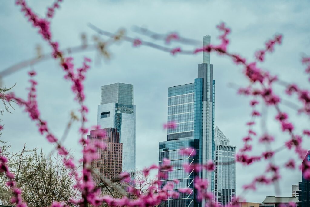 Philly through cherry blossoms