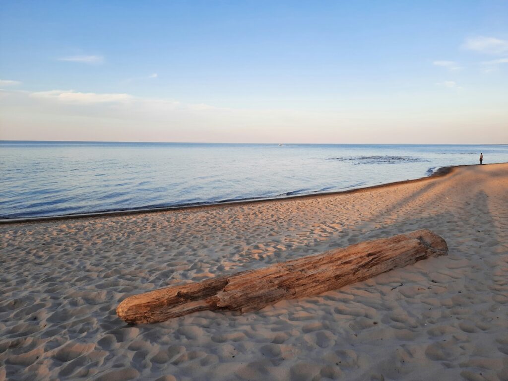 Beachcombing and stargazing in the midwest