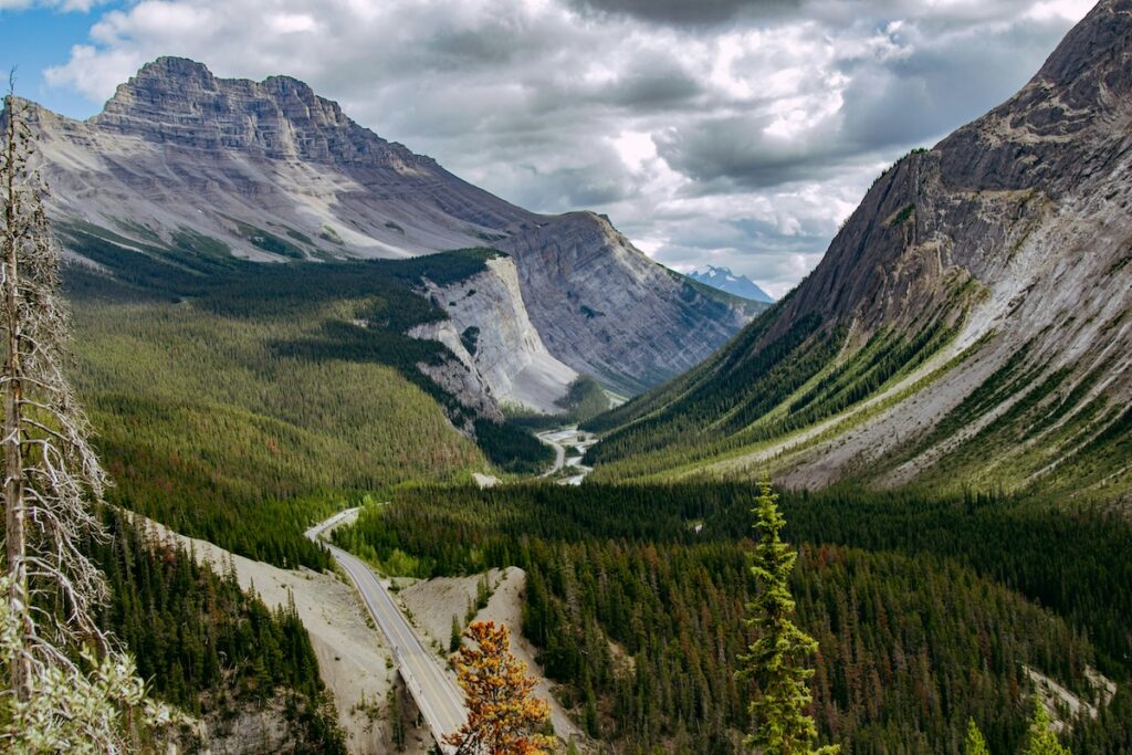 Winding road cuts through a dense conifer forest in a deep mountain valley under a partly cloudy sky.