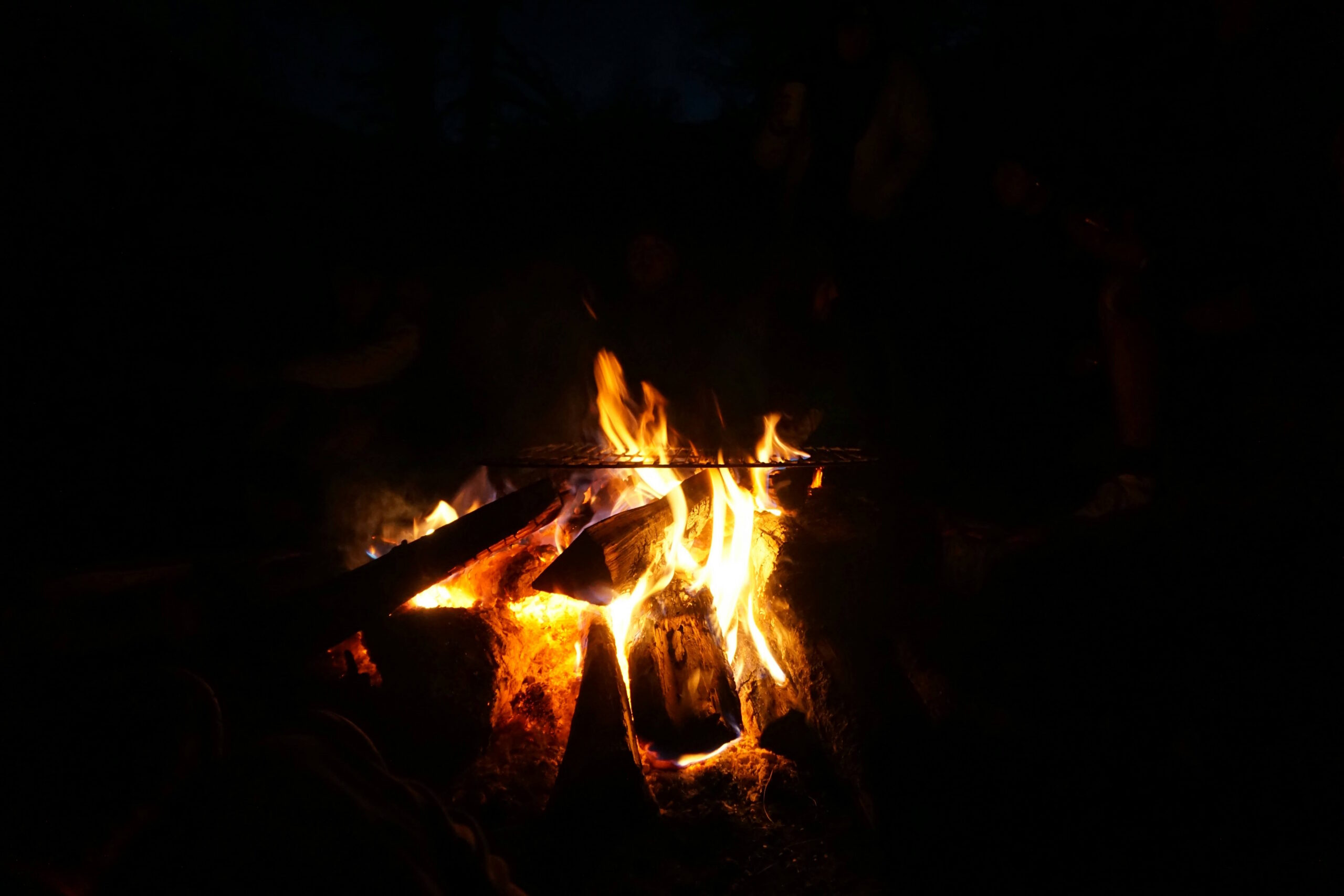 | I Heart RVing campfire fish recipes
