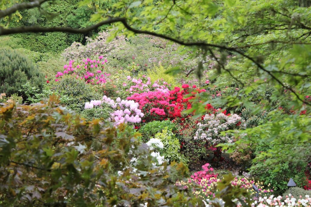 Beautiful flower garden in BC