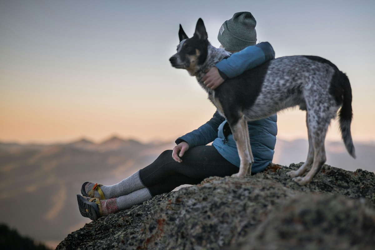 The Big Rewards of RVing with a Rescue Animal