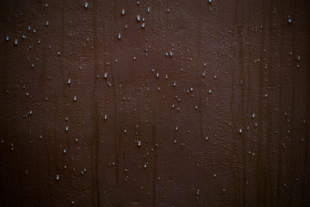 Order – October 9, 2025 @ 03:45 PM | I Heart RVing moisture on wall
