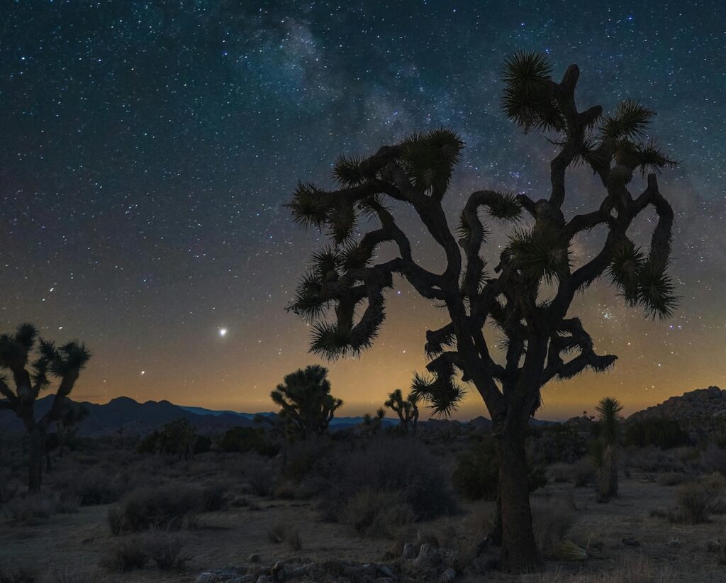 Stargazing in Joshua Tree National Park