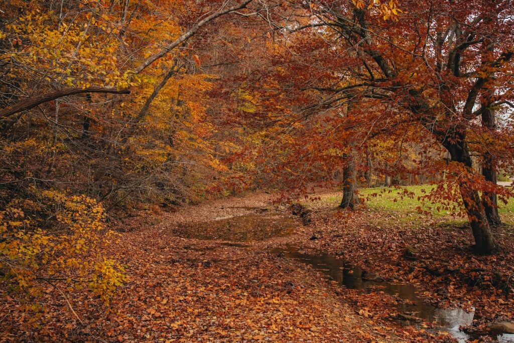 Order – October 10, 2025 @ 12:50 AM | I Heart RVing Shawnee State Park