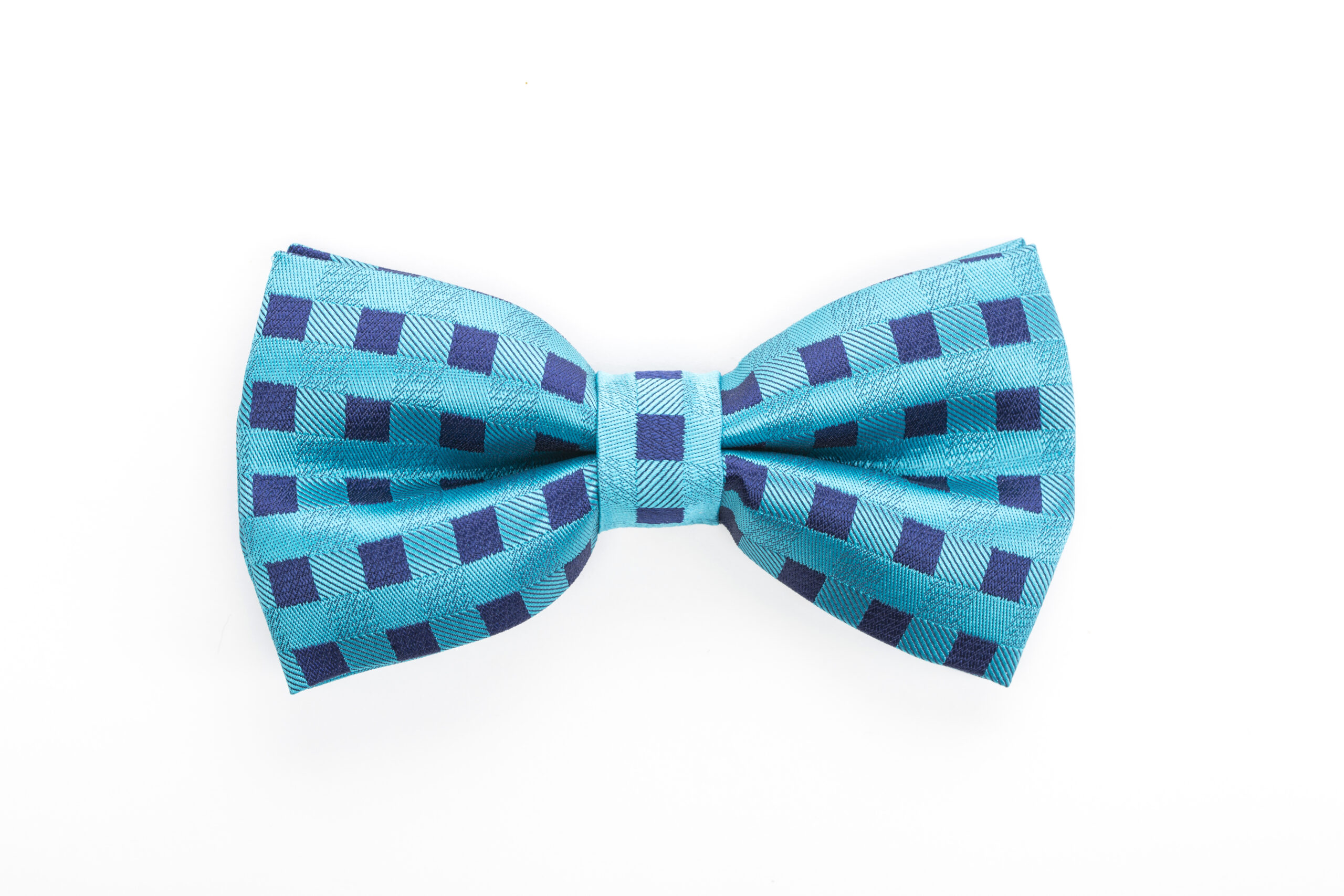 ColorBowTieIsolatedOnWhiteBackground | I Heart RVing