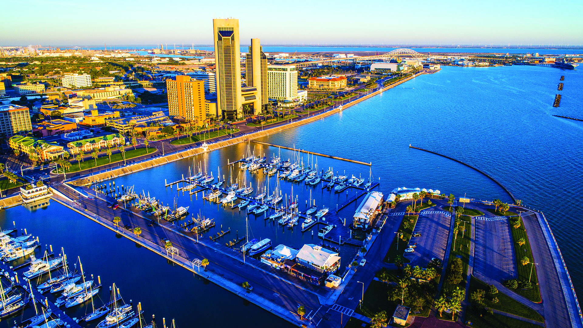 A Fresh Breath of Winter air CORPUS CHRISTI