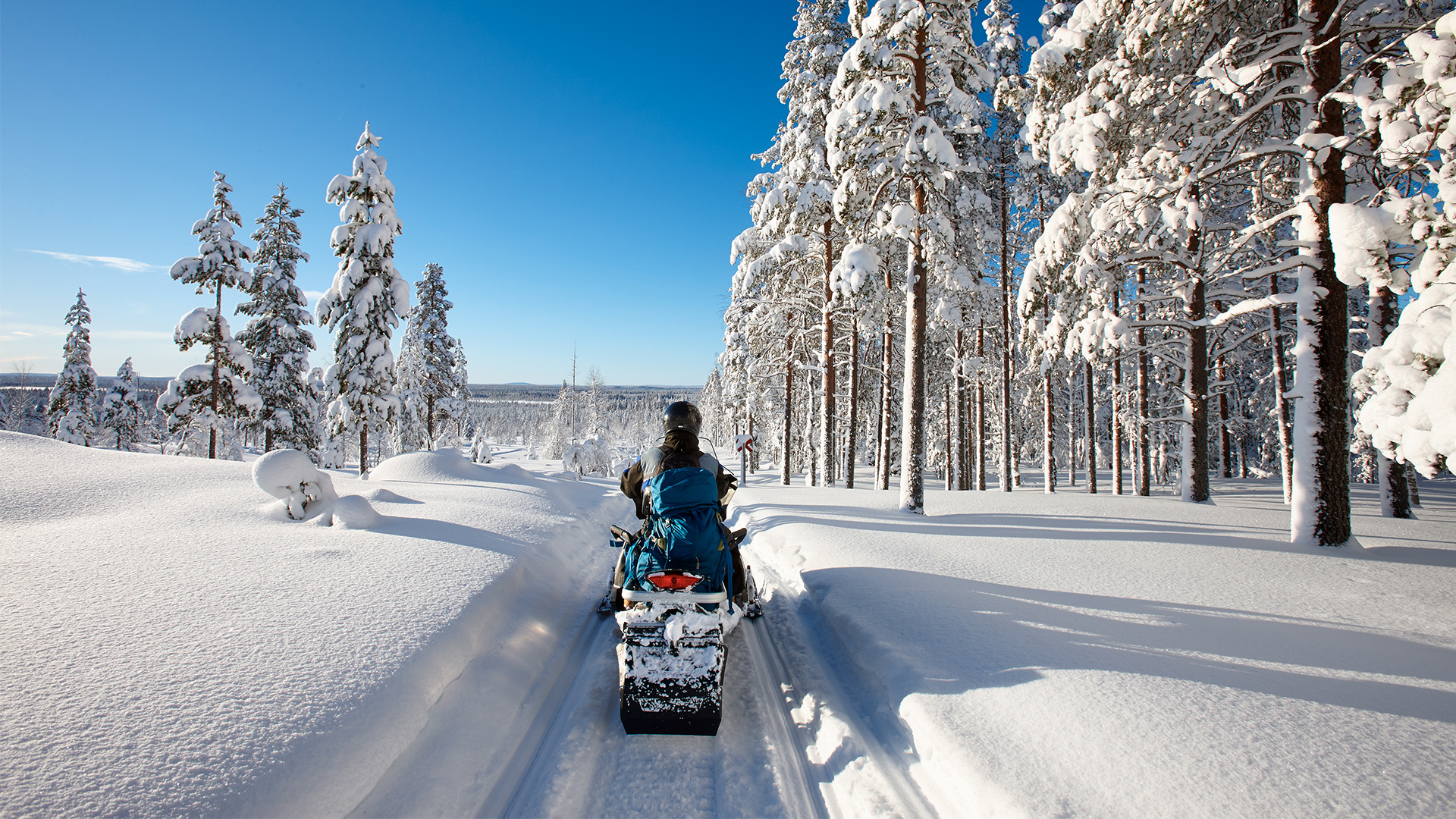 Your Next Snowy Adventure