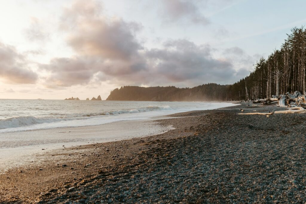 brianna-parks-6Cj1nLefje8-unsplash | I Heart RVing Rialto Beach in Olympic National Park