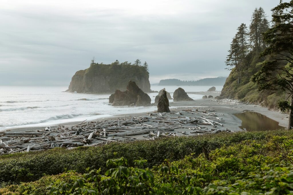 brianna-parks-ai-3LxJJyb4-unsplash | I Heart RVing Ruby Beach