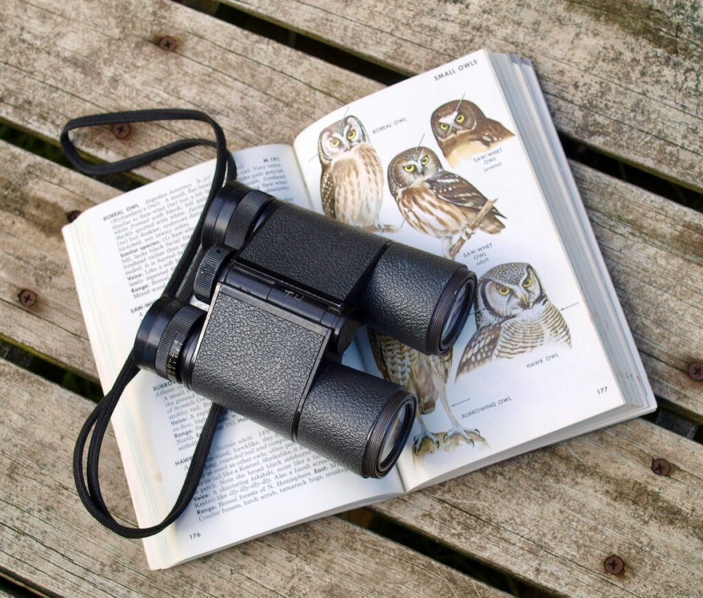 diane-helentjaris-S8wI7myzAjE-unsplash | I Heart RVing Black binoculars resting on an open book with illustrated owls on a wooden surface