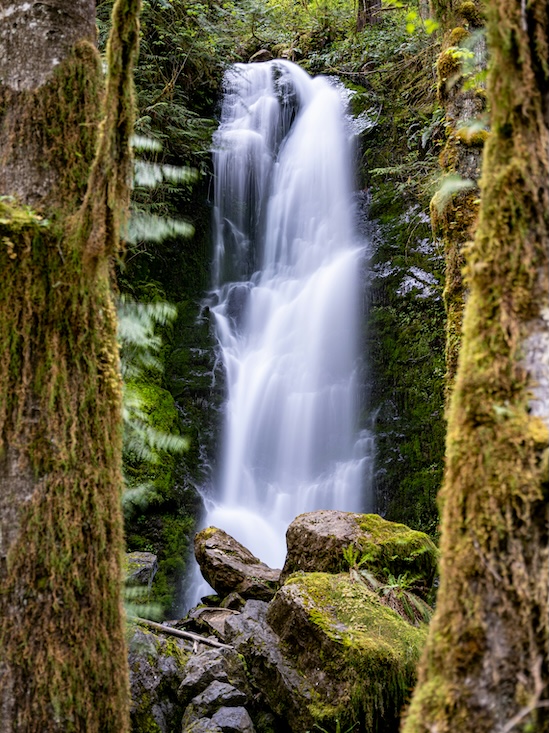 jesse-collins-7vNCzwIjqCM-unsplash | I Heart RVing Waterfall cascading down mossy rocks in a lush forest, framed by tree trunks in the foreground