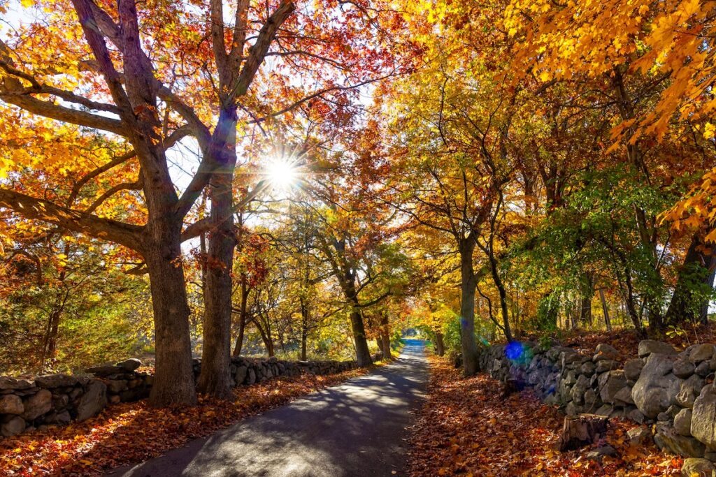 pexels-mnannapaneni-14787456 1 | I Heart RVing Changing trees on Johnny Appleseed Trail