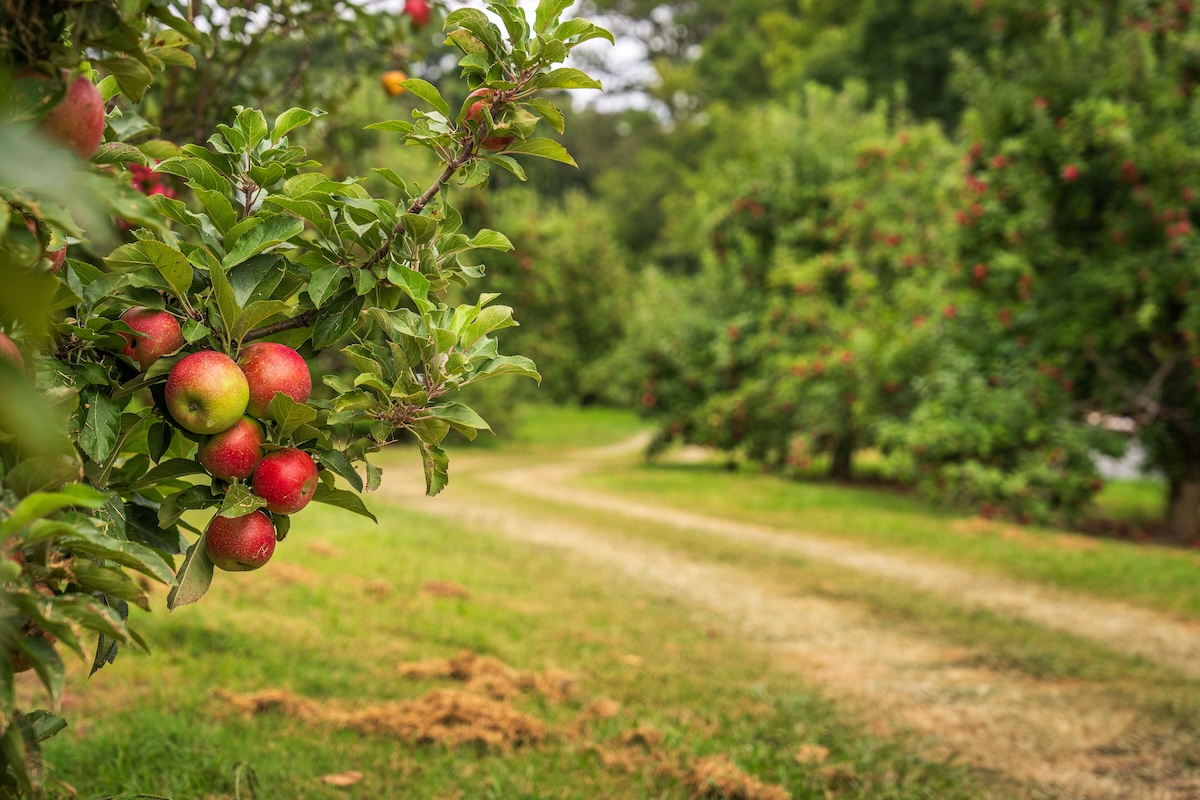 RV Johnny Appleseed Trail
