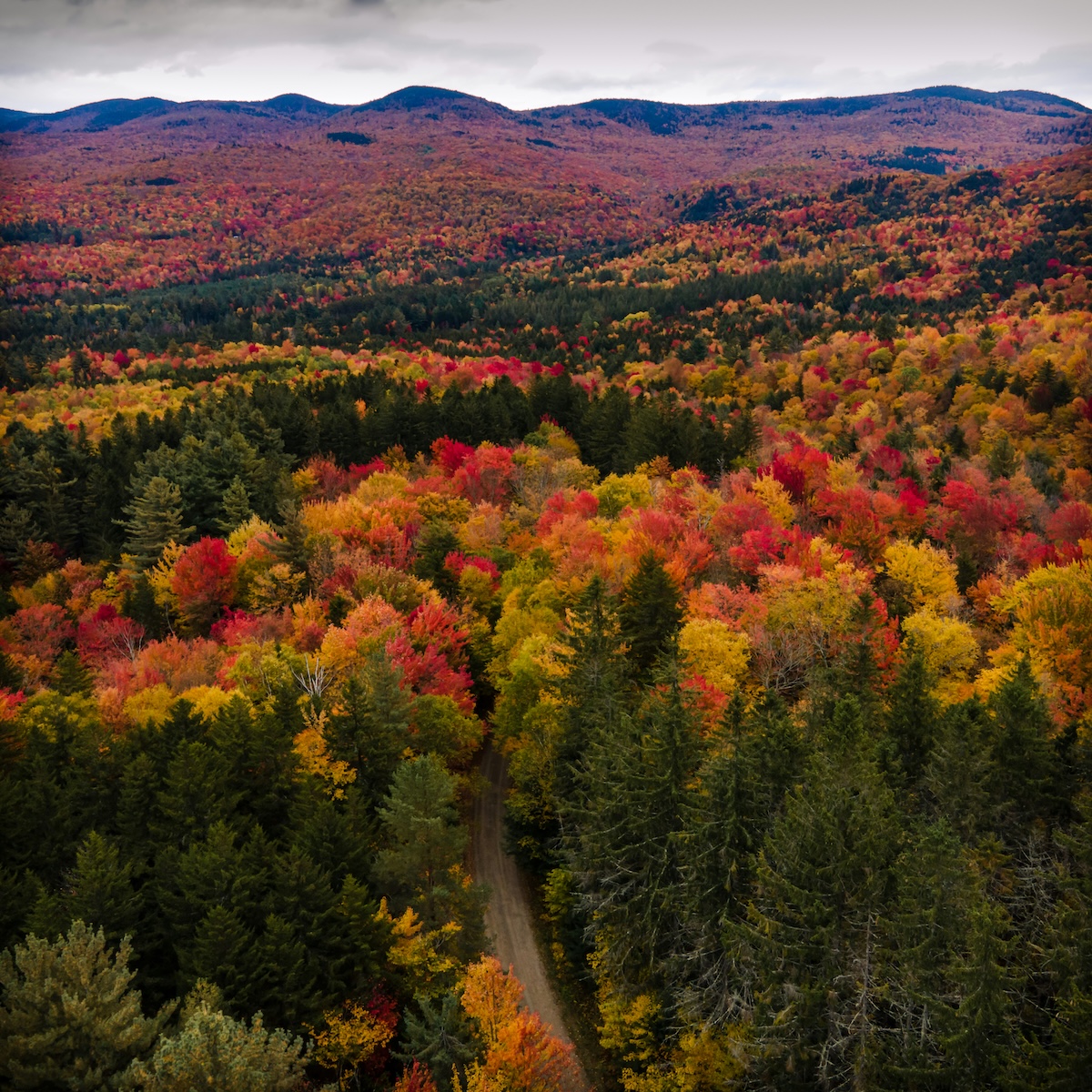 Vermont's fall colors showing why this season is the best time to RV Velomont